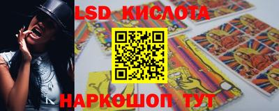 прущие грибы Партизанск
