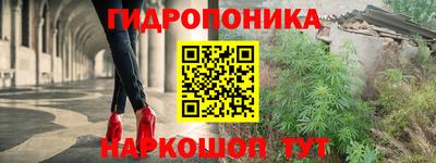 прущие грибы Партизанск