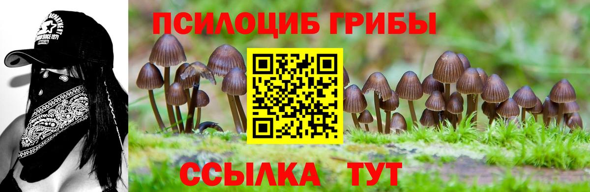 Псилоцибиновые грибы мухоморы  Галлюциногенные грибы Magic Shrooms  Вход с VPN  Топки 